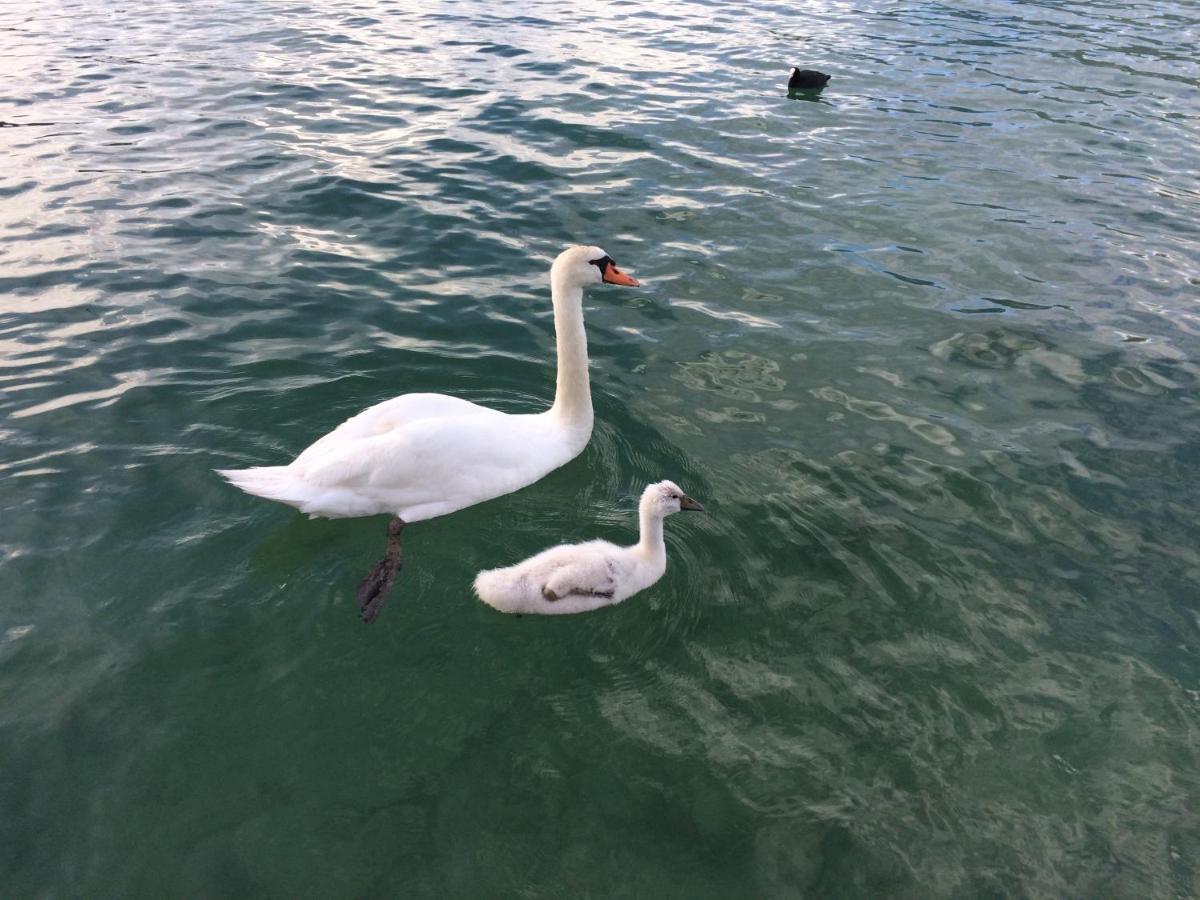 Lac Annecy Plage Privee, Duplex Baie Des Voiles Duingt Ngoại thất bức ảnh